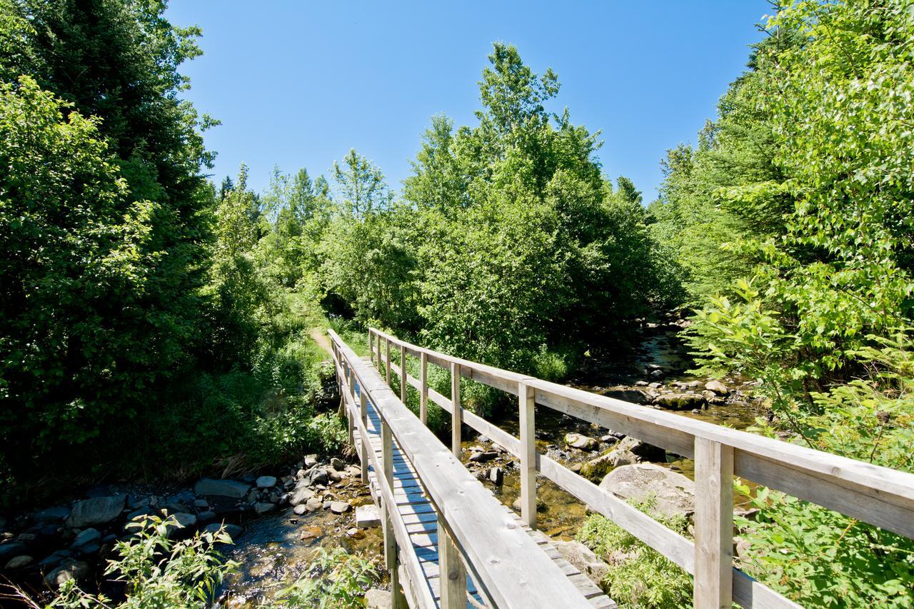 Camping Chalets Spas Pignons Rouges Saint Romain Экстерьер фото