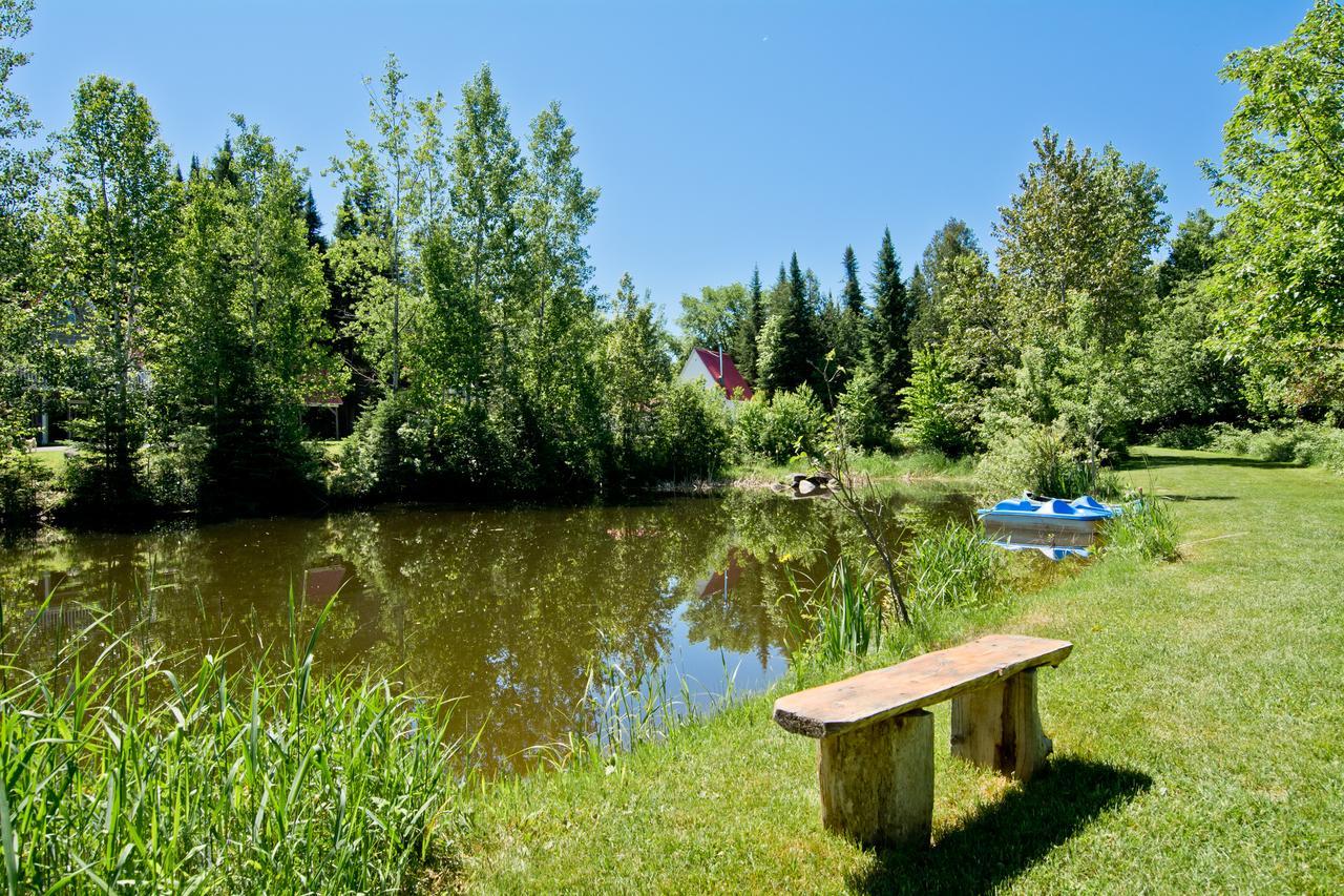Camping Chalets Spas Pignons Rouges Saint Romain Экстерьер фото