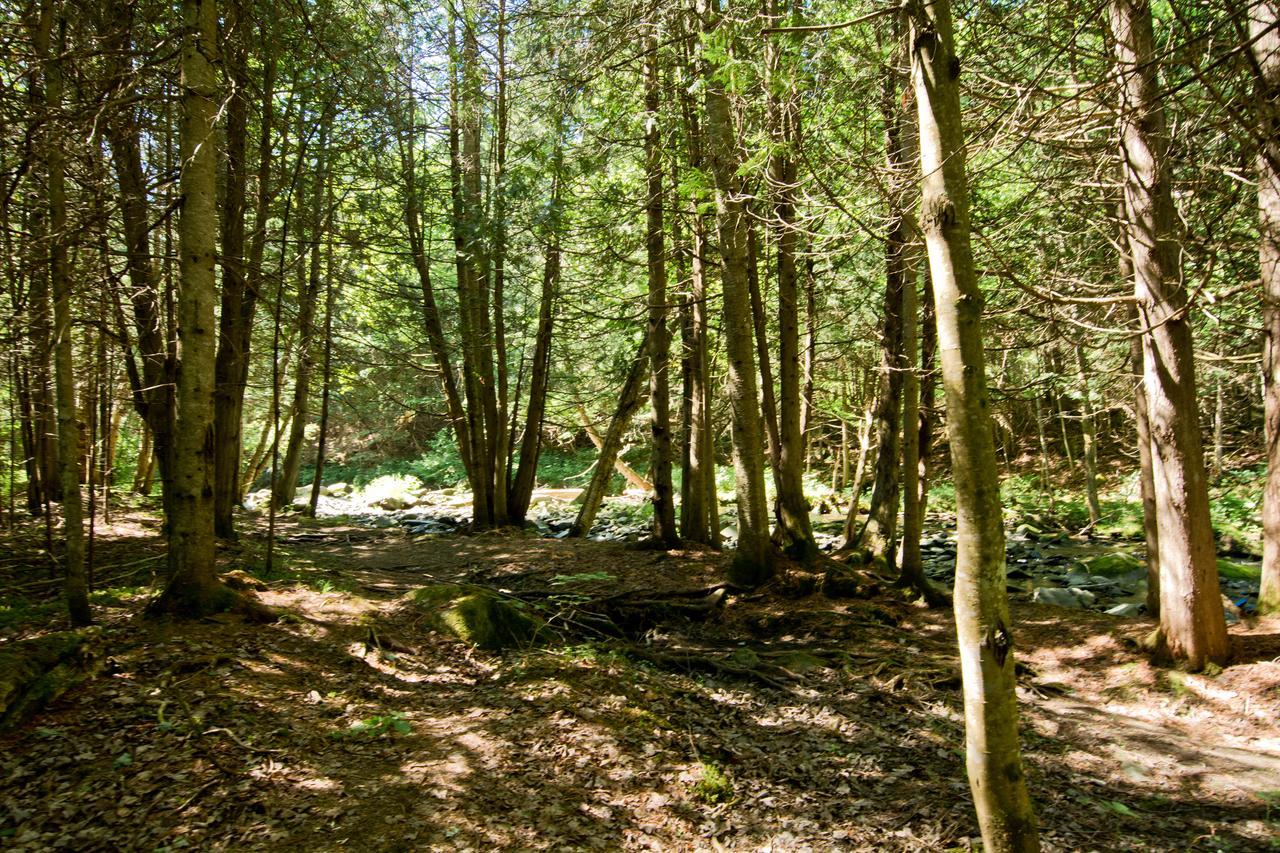 Camping Chalets Spas Pignons Rouges Saint Romain Экстерьер фото