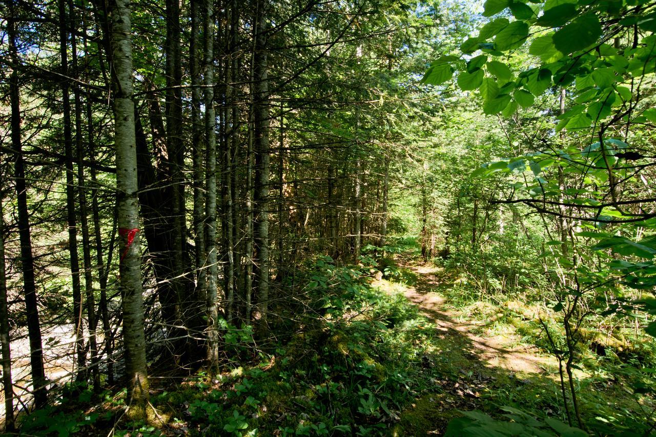 Camping Chalets Spas Pignons Rouges Saint Romain Экстерьер фото