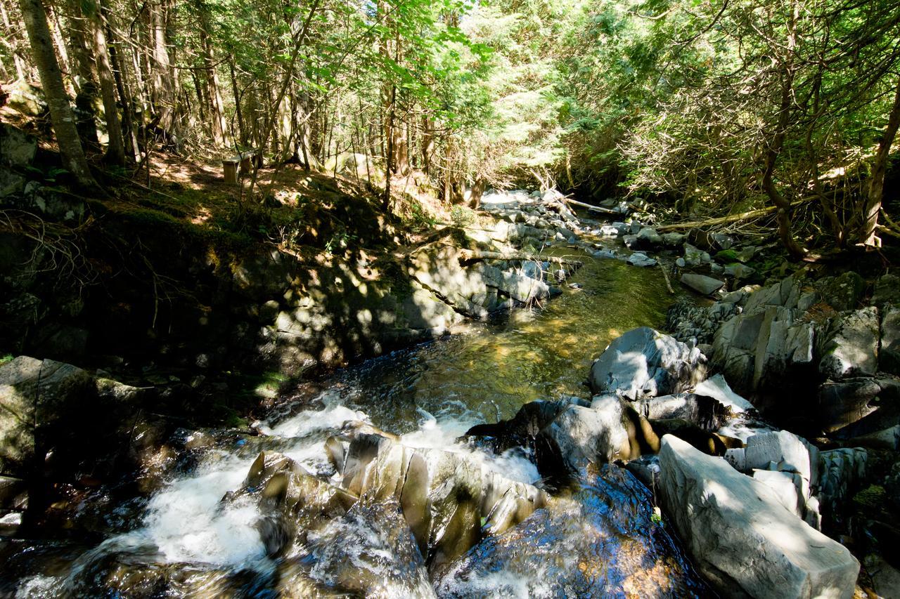 Camping Chalets Spas Pignons Rouges Saint Romain Экстерьер фото